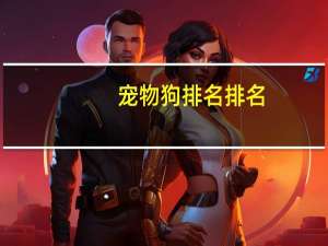 宠物狗排名排名