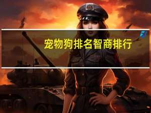 宠物狗排名智商排行