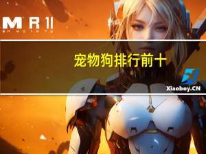 宠物狗排行前十