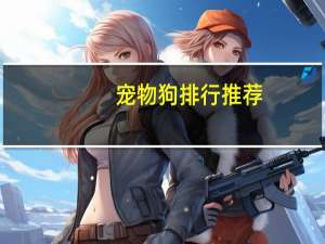 宠物狗排行推荐