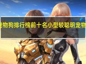 宠物狗排行榜前十名小型较聪明 宠物狗排行