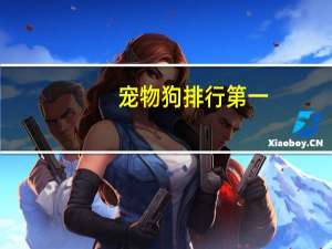 宠物狗排行第一