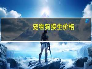 宠物狗接生价格