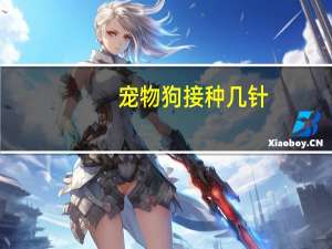 宠物狗接种几针