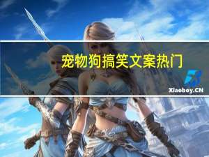 宠物狗搞笑文案热门