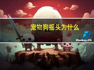宠物狗摇头为什么