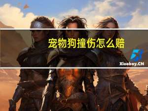 宠物狗撞伤怎么赔