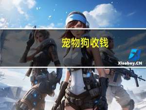 宠物狗收钱