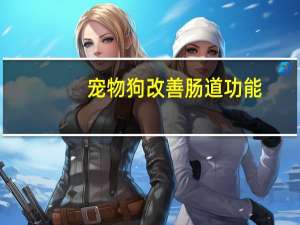 宠物狗改善肠道功能