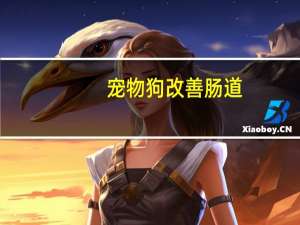 宠物狗改善肠道