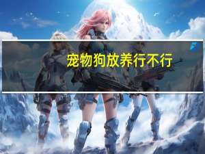 宠物狗放养行不行