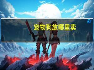 宠物狗放哪里卖