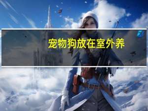 宠物狗放在室外养