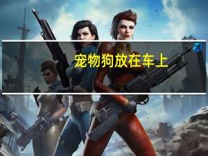 宠物狗放在车上