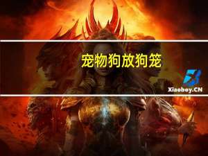 宠物狗放狗笼