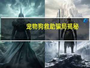 宠物狗救助骗局揭秘