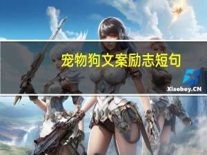 宠物狗文案励志短句