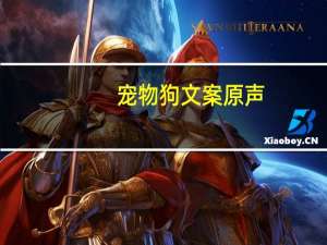 宠物狗文案原声