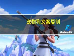 宠物狗文案复制