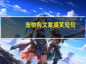 宠物狗文案搞笑短句