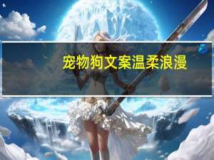 宠物狗文案温柔浪漫