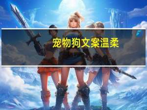 宠物狗文案温柔