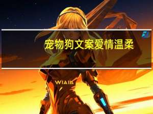 宠物狗文案爱情温柔