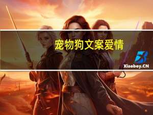 宠物狗文案爱情