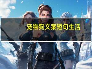 宠物狗文案短句生活