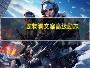 宠物狗文案高级励志