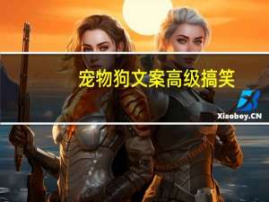 宠物狗文案高级搞笑