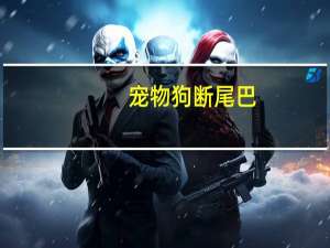 宠物狗断尾巴