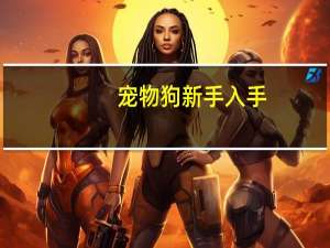 宠物狗新手入手