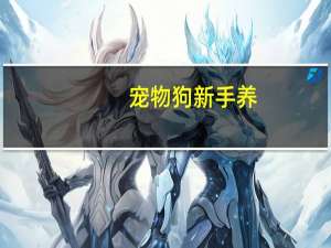 宠物狗新手养