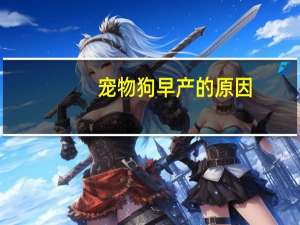 宠物狗早产的原因