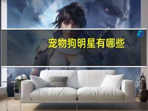 宠物狗明星有哪些