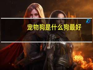 宠物狗是什么狗最好