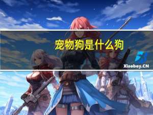 宠物狗是什么狗