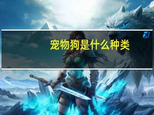 宠物狗是什么种类
