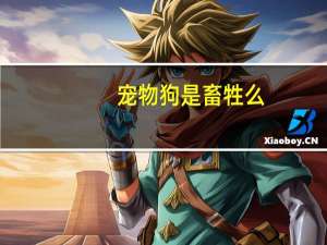 宠物狗是畜牲么