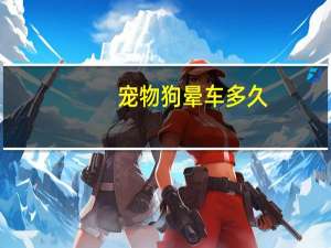 宠物狗晕车多久