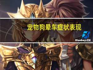 宠物狗晕车症状表现