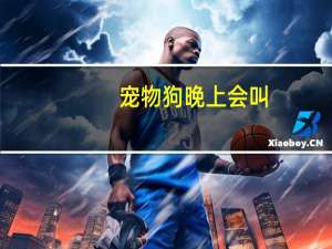 宠物狗晚上会叫