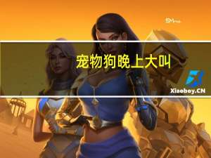 宠物狗晚上大叫