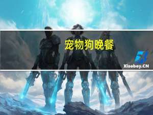 宠物狗晚餐