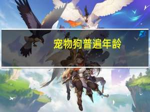 宠物狗普遍年龄