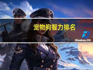 宠物狗智力排名
