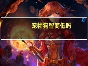 宠物狗智商低吗