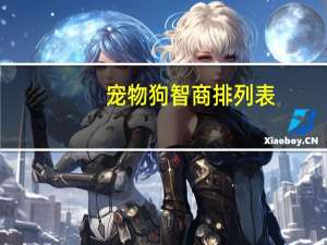 宠物狗智商排列表
