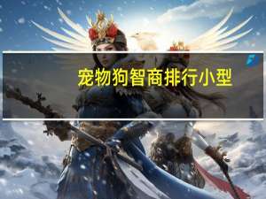 宠物狗智商排行小型